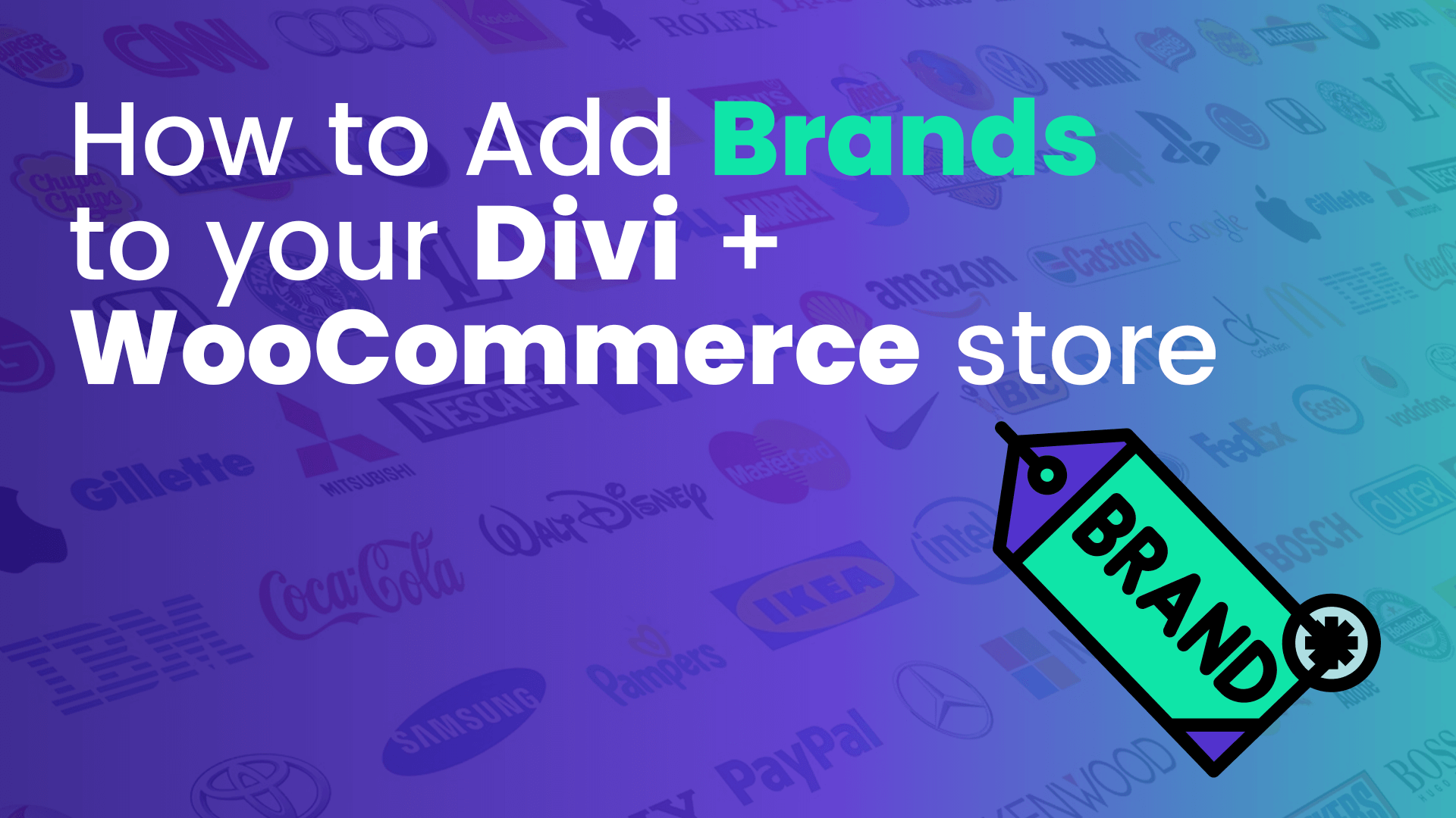 How to Add Brands to your Divi WooCommerce Store