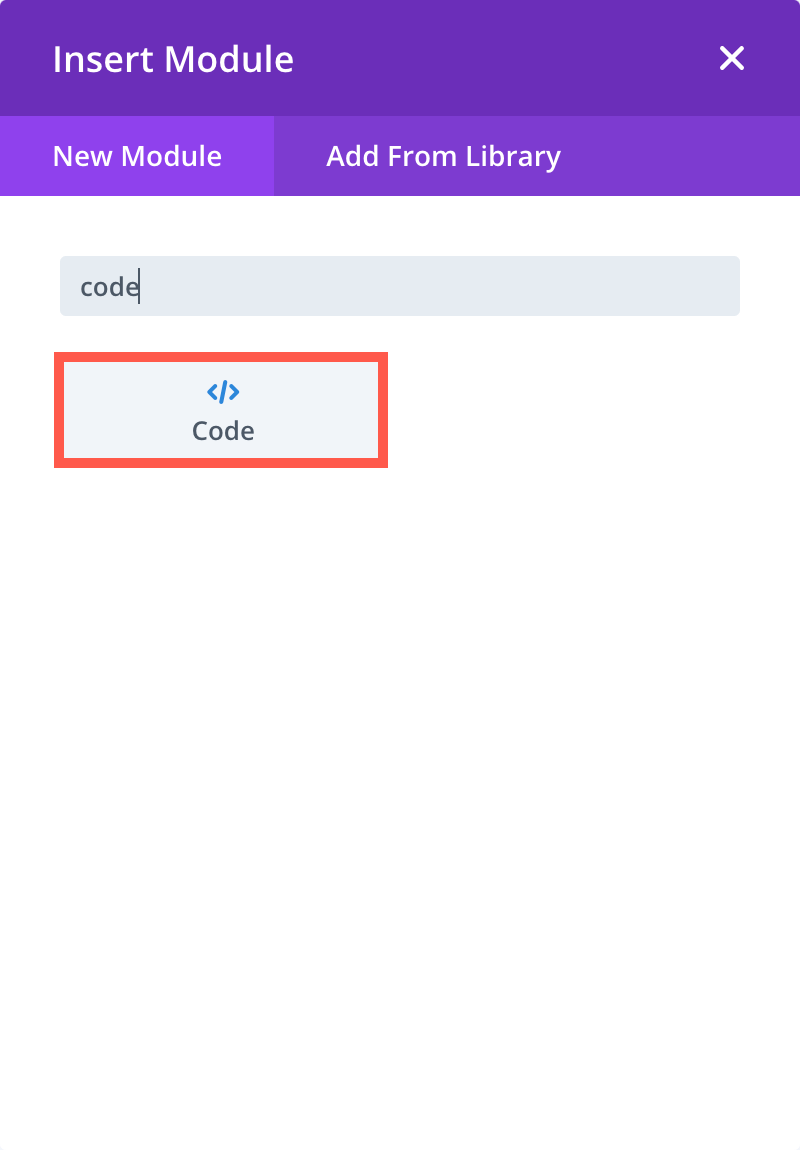 Divi Theme Code Module