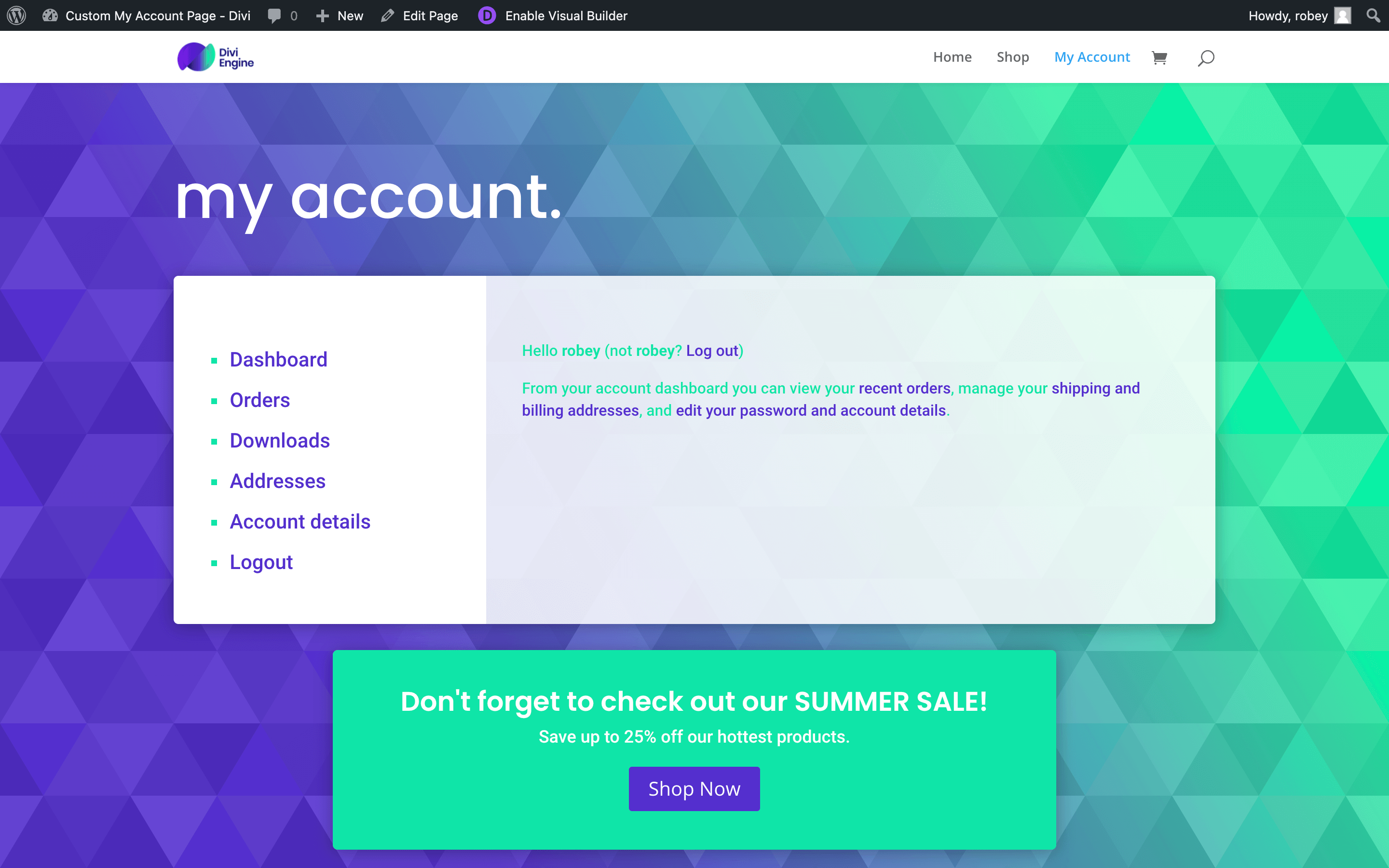 Customized Divi WooCommerce My Account Page