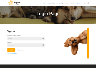 BodyCommerce Custom Login Page