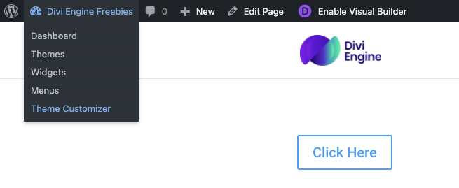 Access Divi Theme Customizer